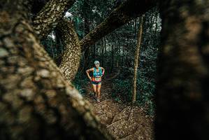 BIB: 
                            <button type="button" onclick="openModal(25667489)" class="btn btn-primary btn-sm float-right btn-popup" data-toggle="modal" data-target=".modal-high-quality">
                        <i class="fas fa-shopping-cart"></i> Add to Cart
                    </button>
                                            <button type="button" onclick="isThisMe(25667489, true)" class="btn btn-success btn-sm float-right btn-popup btn-isme hidden" data-toggle="tooltip" data-placement="bottom" title="นี่คือรูปของคุณใช่ไหม คลิกที่นี่เพื่อเอาเข้าอัลบั้ม">
                        <i class="fas fa-plus"></i> Add to album
                    </button>
                    <button type="button" onclick="isThisMe(25667489, false)" class="btn btn-warning btn-sm float-right btn-popup btn-isnotme hidden">
                        <i class="fas fa-ban"></i> Remove from album
                    </button>